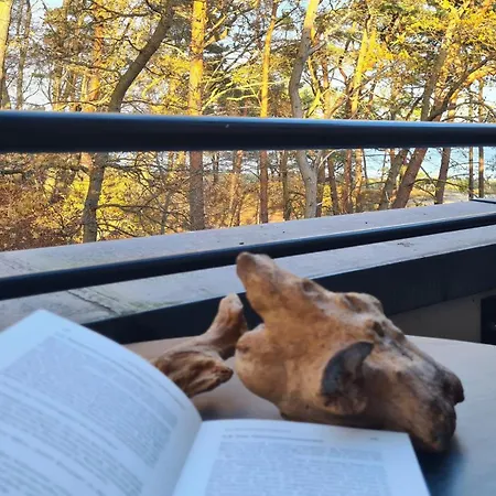 Sonnensegler * Бабе